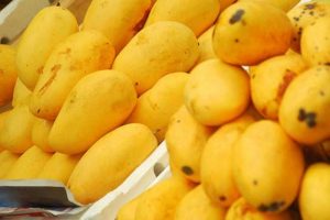 PHL mangoes pitched to Italian market