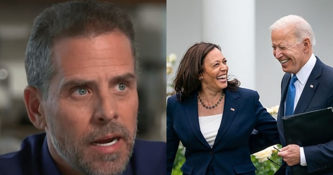 DEI Government: Hunter Biden Admits His Dad Picked Kamala as VP Because She is Black